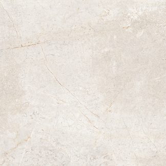 Cercom 1200X1200 Everstone Everwhite