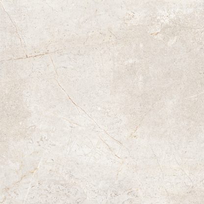 Cercom 1200X1200 Everstone Everwhite
