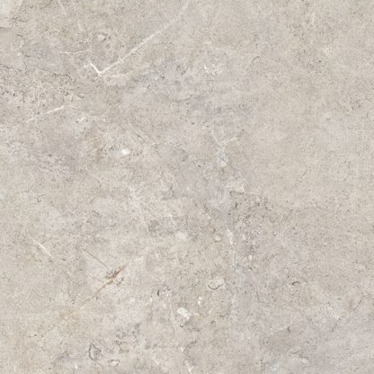 Cercom 1000X1000 Everstone Evercream