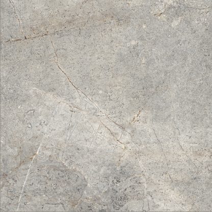 Cercom 1200X1200 Everstone Evergreige