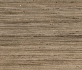 Douglas Jones 600X1200 Textures Tortora