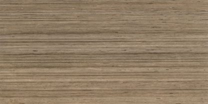 Douglas Jones 600X1200 Textures Tortora