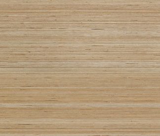 Douglas Jones 600X1200 Textures Beige