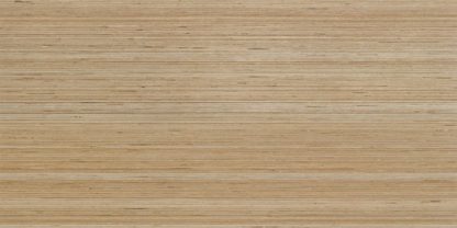 Douglas Jones 600X1200 Textures Beige