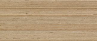 Douglas Jones 300X1200 Textures Beige
