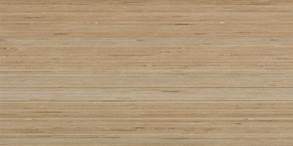 Douglas Jones 300X600 Textures Beige