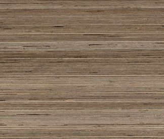 Douglas Jones 300X600 Textures Tortora
