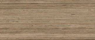 Douglas Jones 300X1200 Textures Tortora