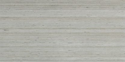 Douglas Jones 600X1200 Textures Grigio