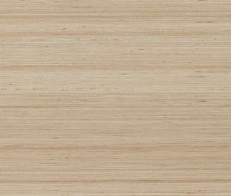 Douglas Jones 600X1200 Textures Crema