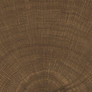 vtwonen Tegels 100X100 Woodcirkle Wenge