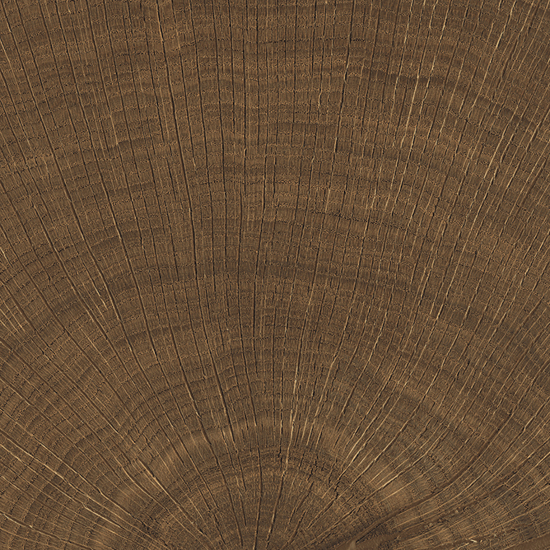 vtwonen Tegels 100X100 Woodcirkle Wenge