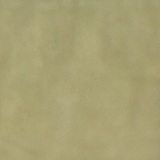 vtwonen Tegels 116X116 Sweets Salvia Glossy