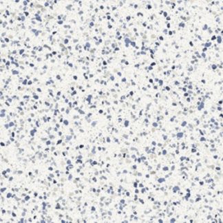 Marazzi 600x1200 Frammento Macro MN13 Azzurro
