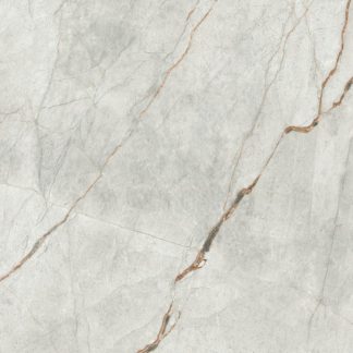 Imola 1200X1200 Room Grey Roots LP