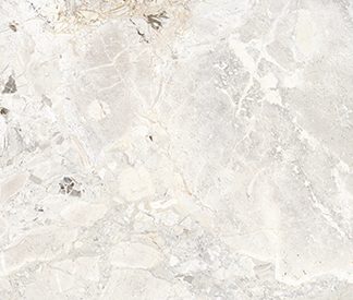 Douglas Jones  600x1200 Tinct flower Shell pol-mat