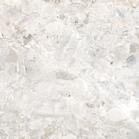 Douglas Jones  900x900 Tinct flower Shell pol-mat